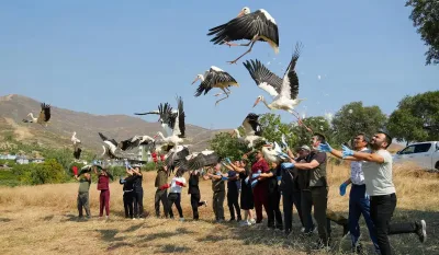 Tedavi edilen kuşlar doğaya bırakıldı